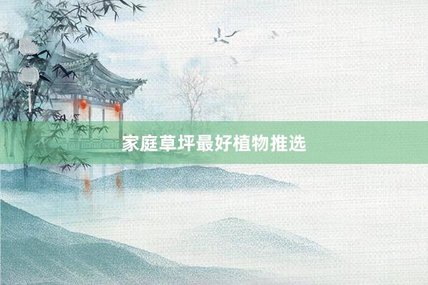 家庭草坪最好植物推选